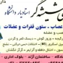دکتر مهدی شهگر