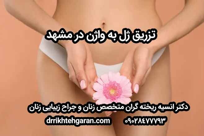 دکتر انسیه خودگران