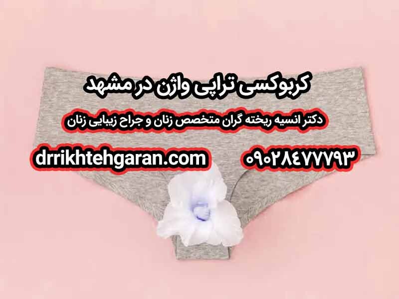 دکتر انسیه خودگران