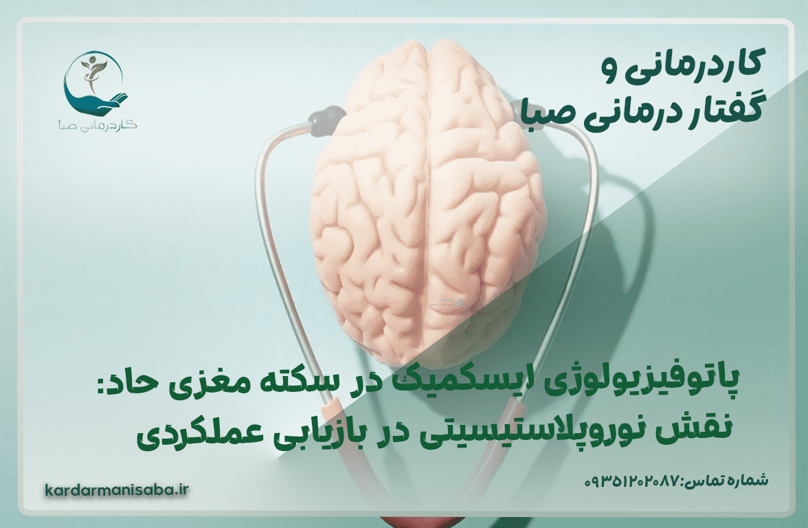 علم الأحياء البيولوجي في مجال غامض: نقش البلاستيك العصبي في العمل الجراحي - كاردمان سابا