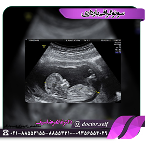 Necessary ultrasounds in pregnancy