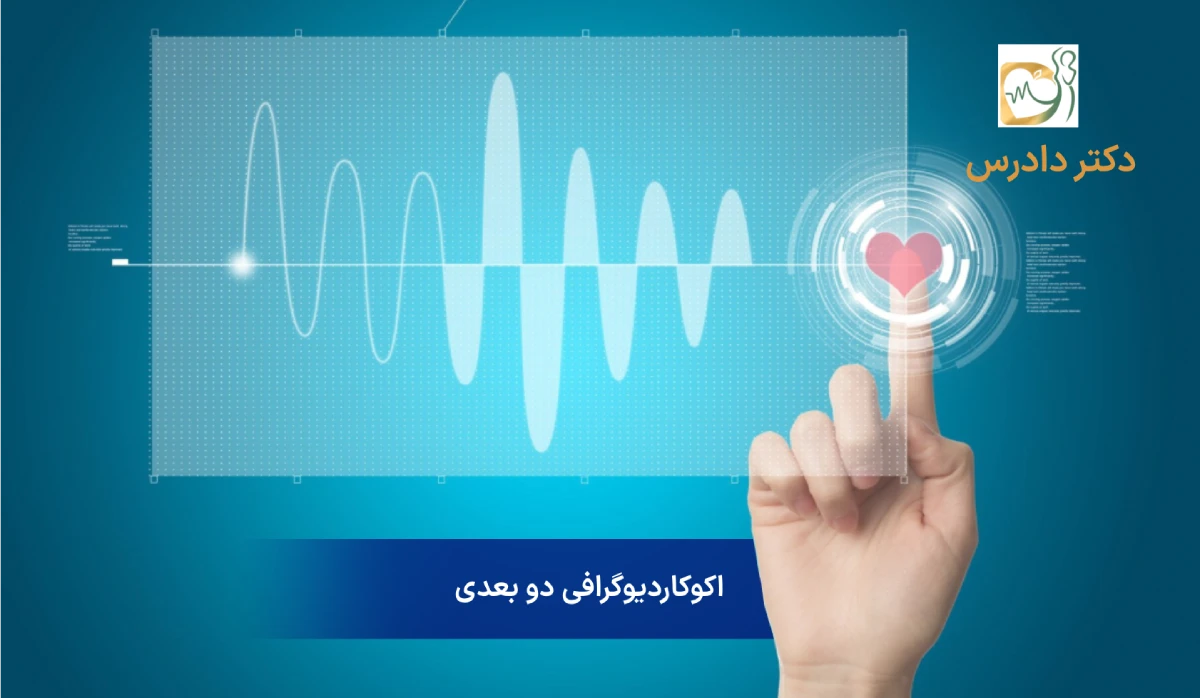 تخطيط صدى القلب ثنائي الأبعاد - د. مارفاريد دادريس