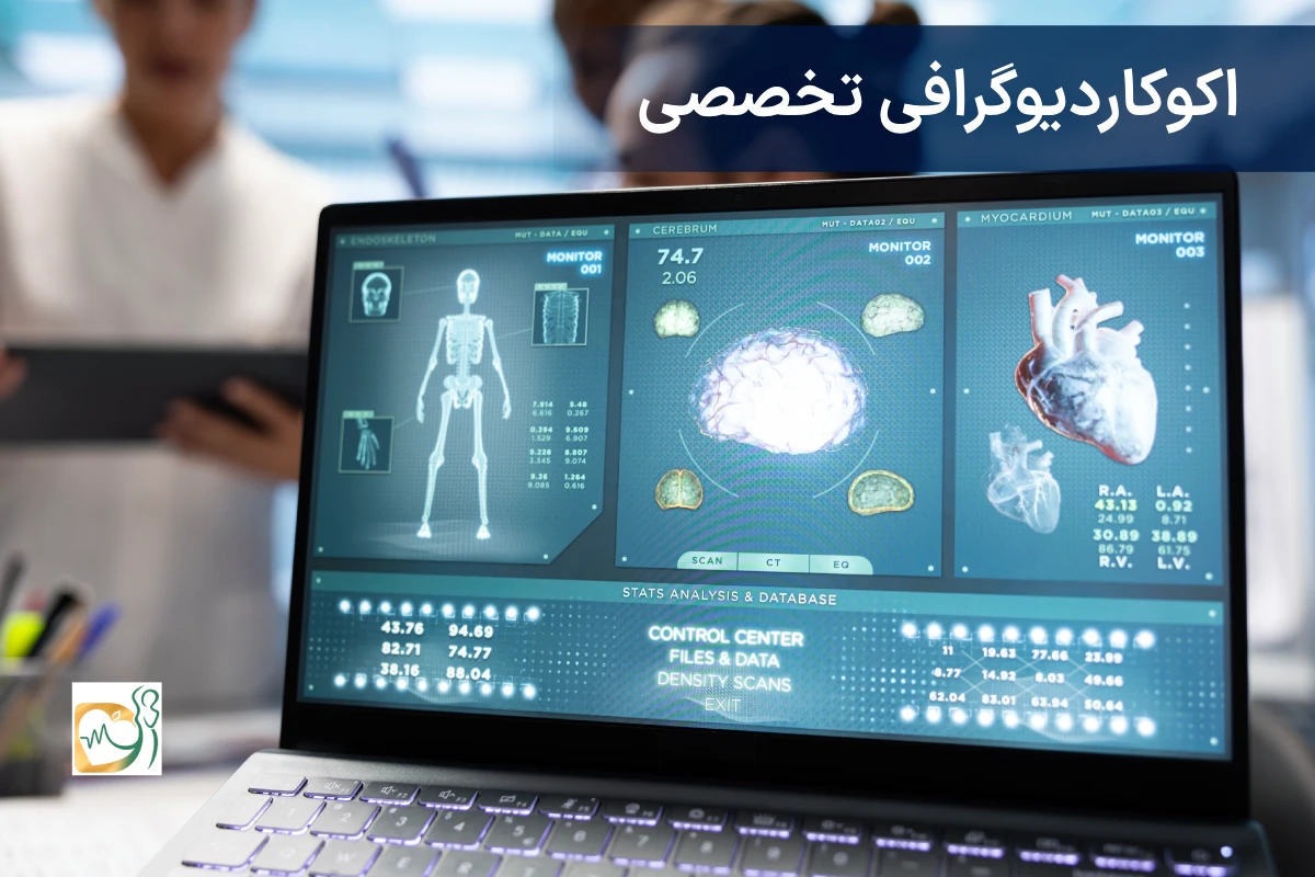 تخطيط صدى القلب التخصصي - د. مارفاريد دادريس