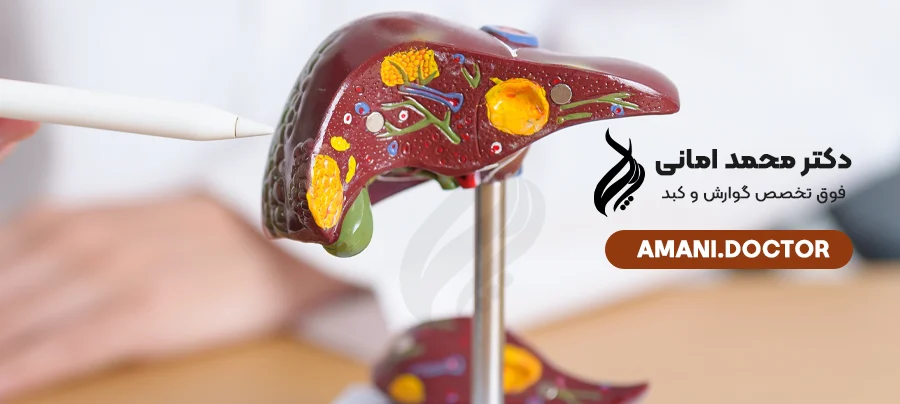 What is liver fibrosis? Cause and treatment - Dr. Mohammad Amani, gastroenterologist and liver specialist