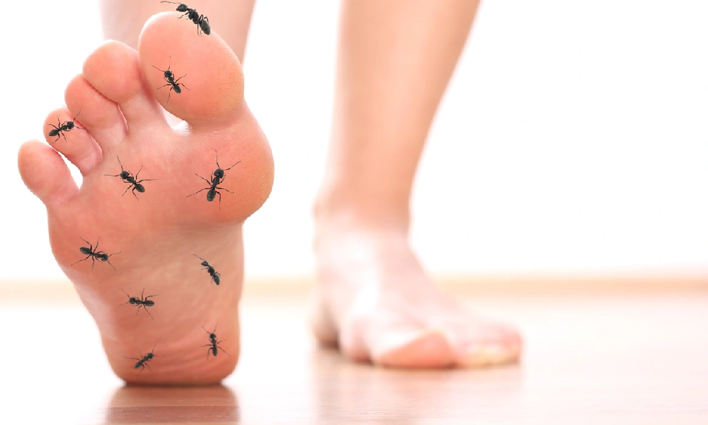 علت بی حسی پاهایم چیست؟ علل و روش های درمان