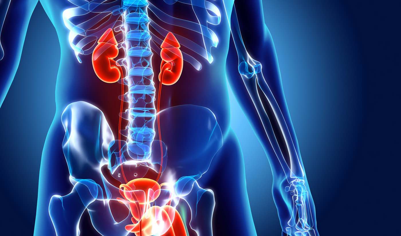 Neurogenic bladder - pelvic floor physiotherapy in Mashhad