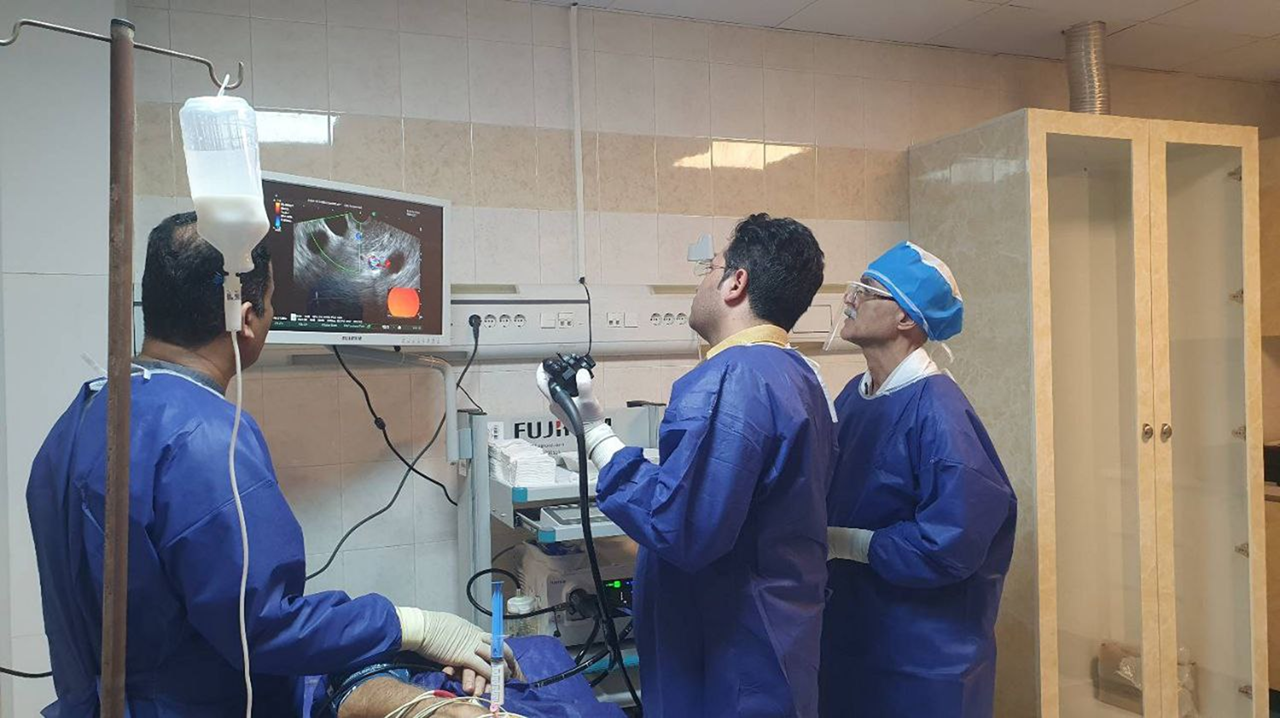 Endosonography in Bushehr, what is endosonography (EUS) and what are its uses? - Dr. Hamidreza Mehboubi