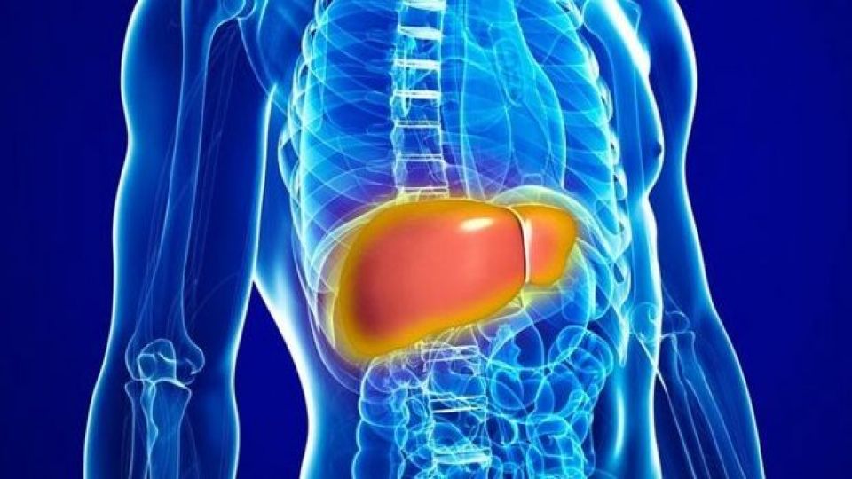Liver infection - gastroenterologist in Mashhad Dr. Mehdi Afzal Aghaei