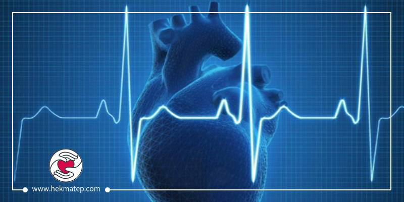 Heart palpitations + examination of the cause of high heart rate - Dr. Mustafa Hekmat