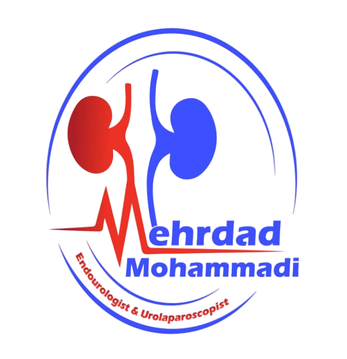 𝑴𝑬𝑯𝑹𝑫𝑨𝑫 𝑴𝑶𝑯𝑨𝑴𝑴𝑨𝑫𝑰 𝑴𝑫