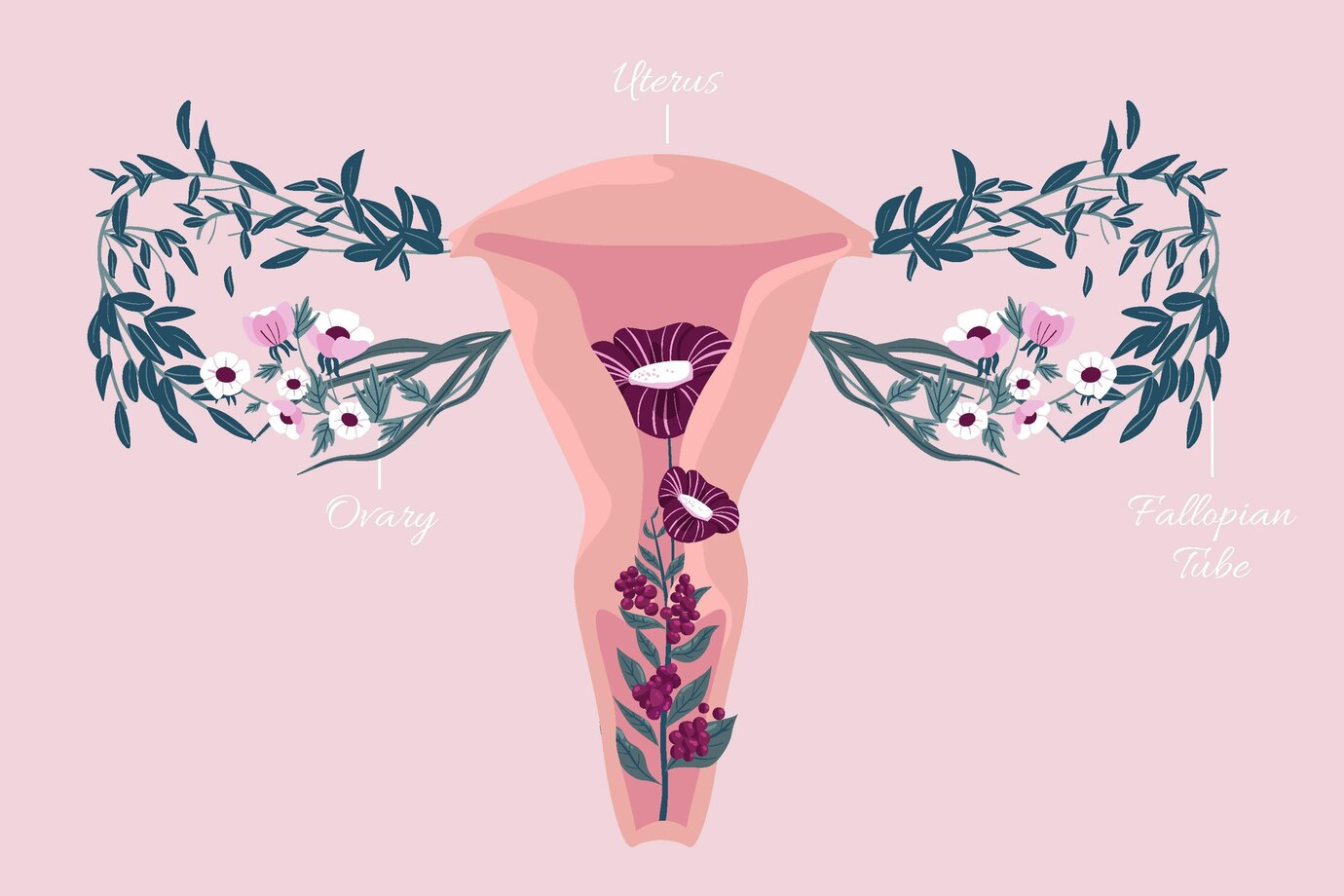 Polycystic ovary syndrome and 10 definite symptoms