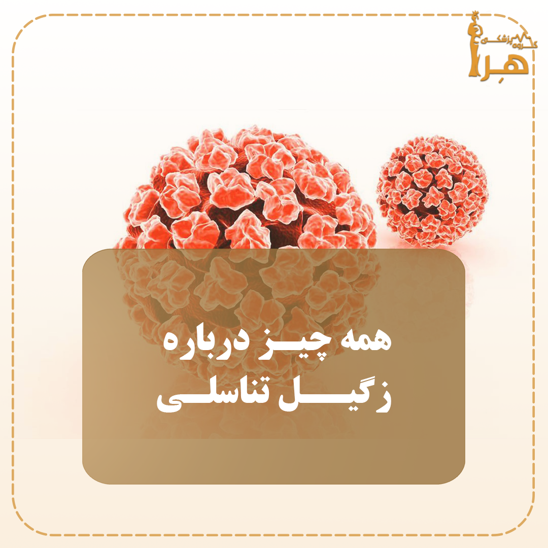 HPV virus genital warts HPV genital warts vaccine Dangers of genital warts