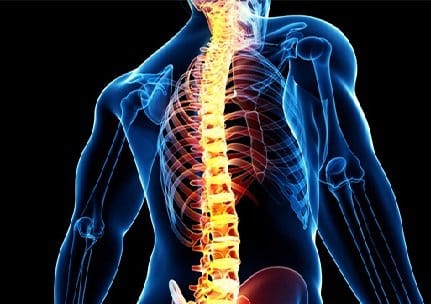 Physiotherapy of Iranians