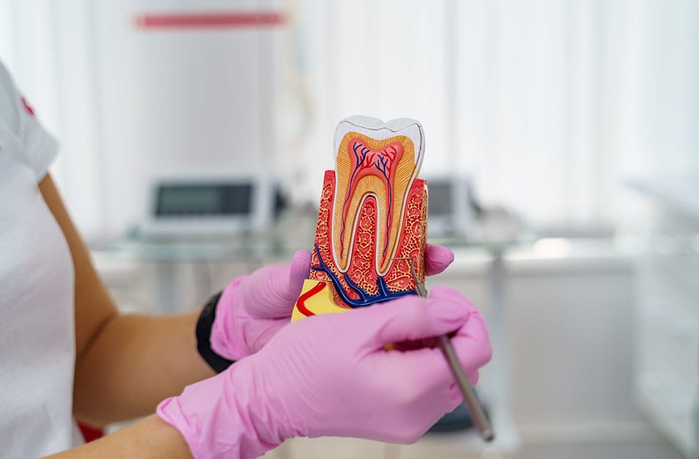 Root canal treatment by a specialist dentist at a reasonable cost