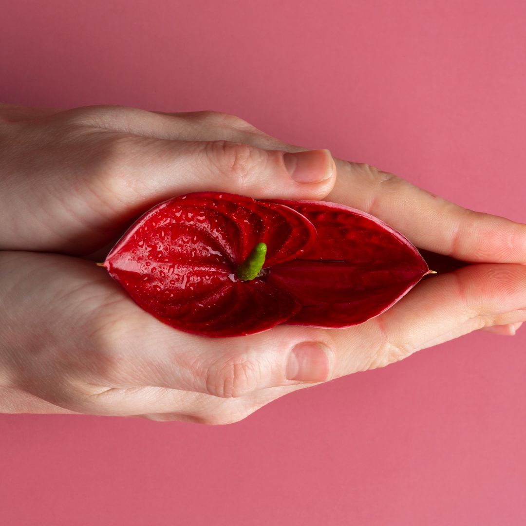 تضييق المهبل بالعلاج المنزلي [طبيعي وفعال] | دكتور مدني