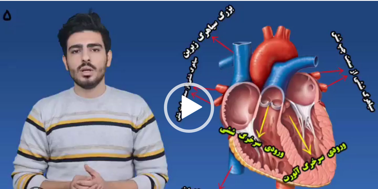 القلب - استشارات نفسية وأسرية وتربية