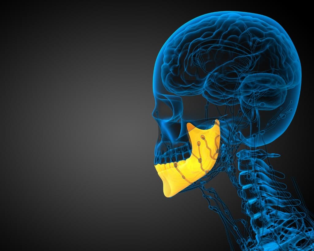 دور الفك والمفصل الفكي الصدغي في جمال ووظيفة الأسنان - طب الأسنان د. بهاري سيباهريان