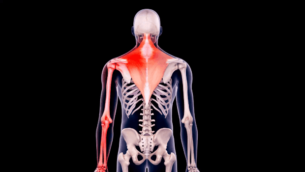 آلام الرقبة واليد الأسباب والأعراض والتهاب المفاصل وديسك الرقبة