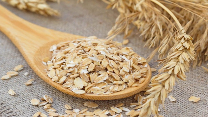 The benefits of including oats in the diet Nutritionist in Tehran