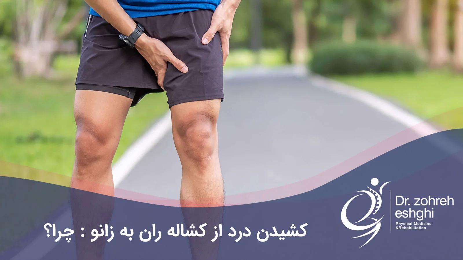 Pulling pain from the groin to the knee: why?