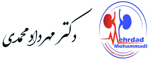 مكان لإدراج النص والفيديو والصور