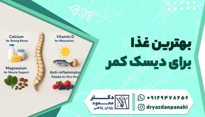 The best food for lumbar disc Foods useful for lumbar disc