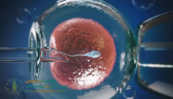Microinjection success rate for infertility treatment + cost