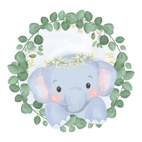 أرشيف الحلقات