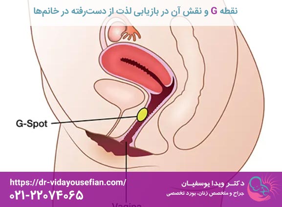 نقطه G و نقش آن در بازگرداندن لذت از دست رفته در زنان - دکتر ویدا یوسفیان