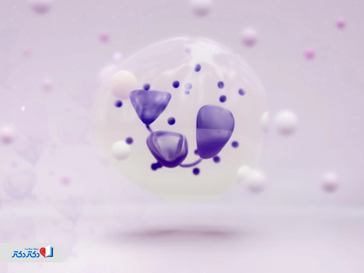 NEUT في اختبار الدم الكمية الطبيعية من العدلات،