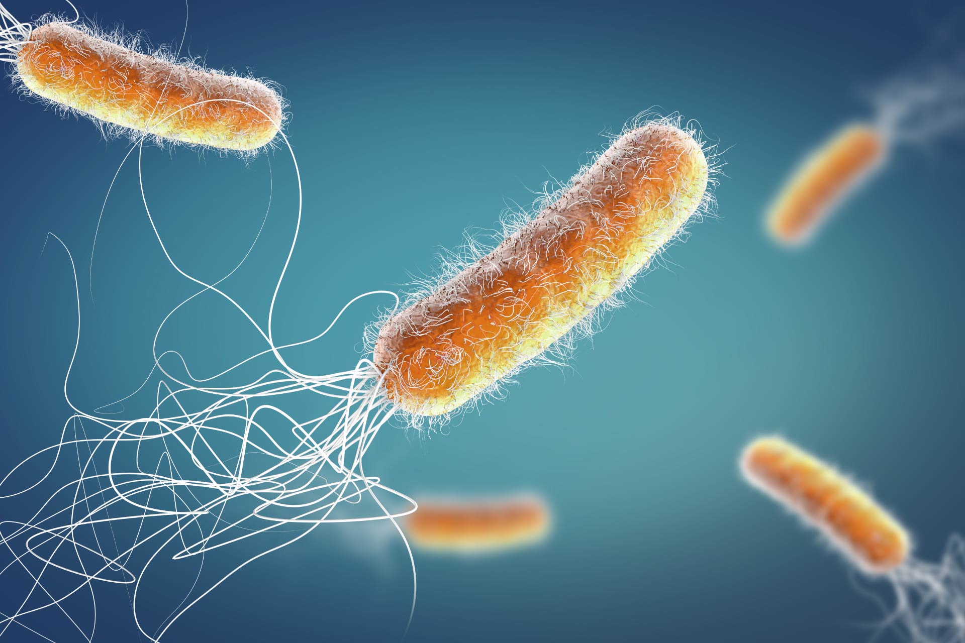 Why is canal disinfection the most important stage of root canal treatment? - Dr. Mojtaba Jirani, specialist in root canal therapy