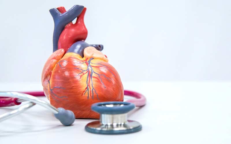 جراحی قلب آئورت، همه چیز در مورد تعمیر یا تعویض این دریچه